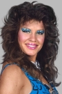Wendi Richter Film ve Dizileri