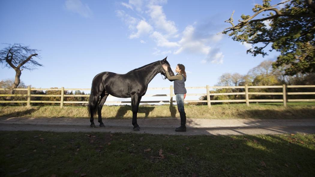 Kendini Özgür Bırak 3. Sezon 7. Bölüm izle